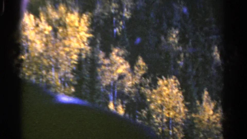 1967 Colorado home-movie frame with distant yellow aspens, darker conifers, and a soft blurred foreground along the lower edge.