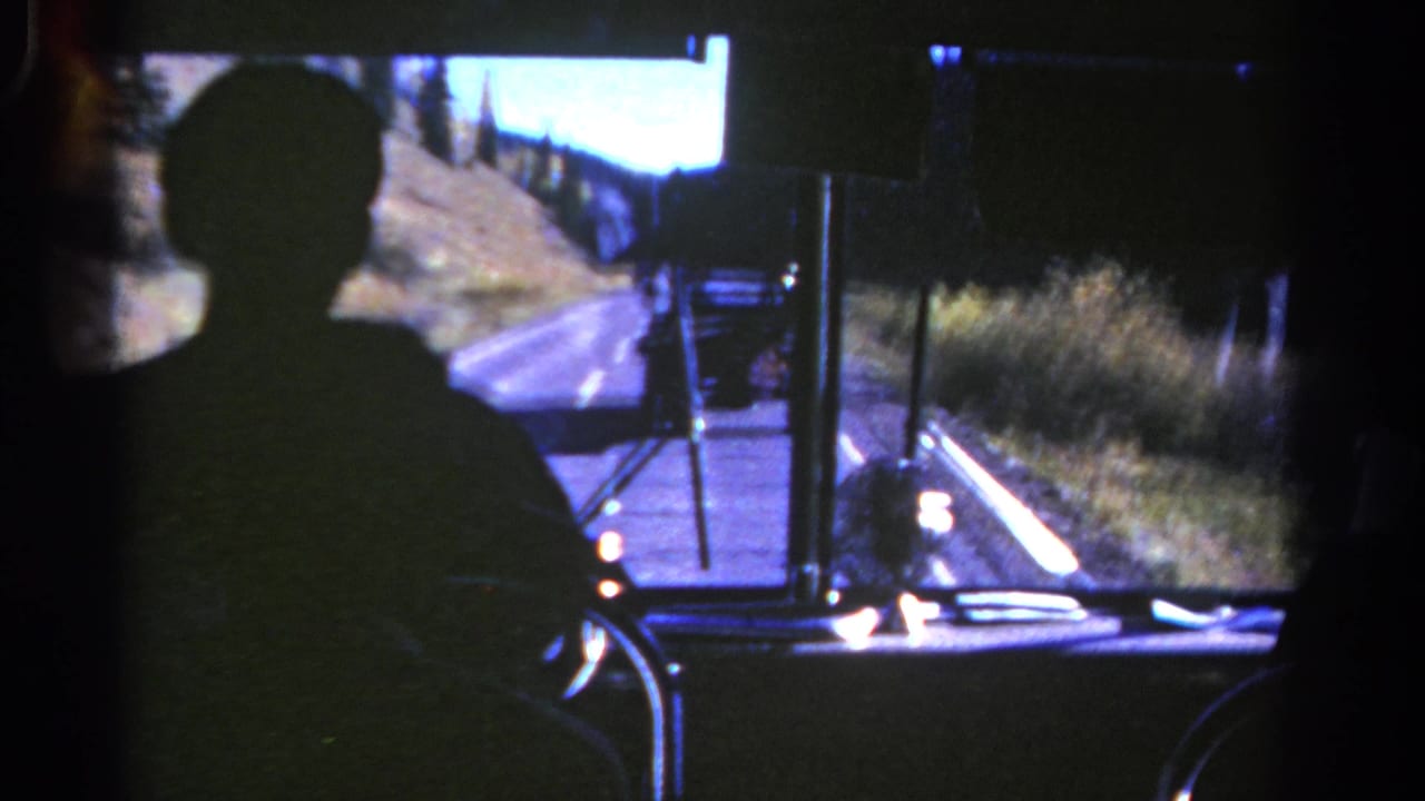 Silhouetted bus driver seen from behind as the vehicle travels along a curving road.