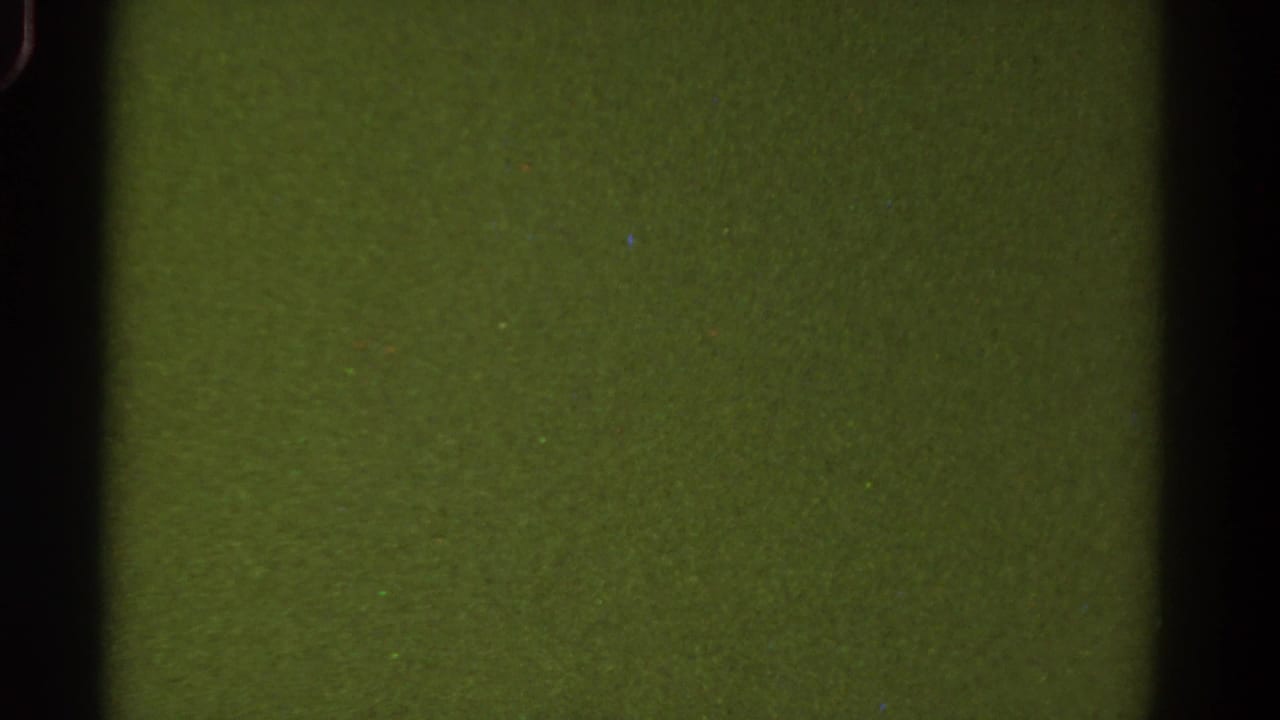 Static green film frame with black side borders and subtle speckles.