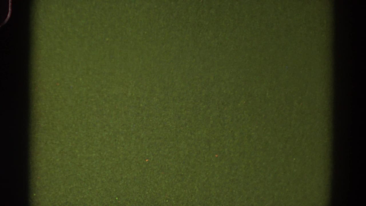 Blank green-tinted film frame with black side bars, grain, small specks, and edge shadowing.