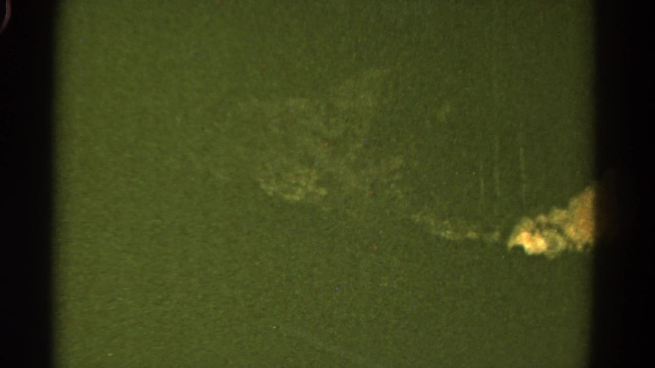 Soft green landscape with a bright flare near the right edge and visible film grain.