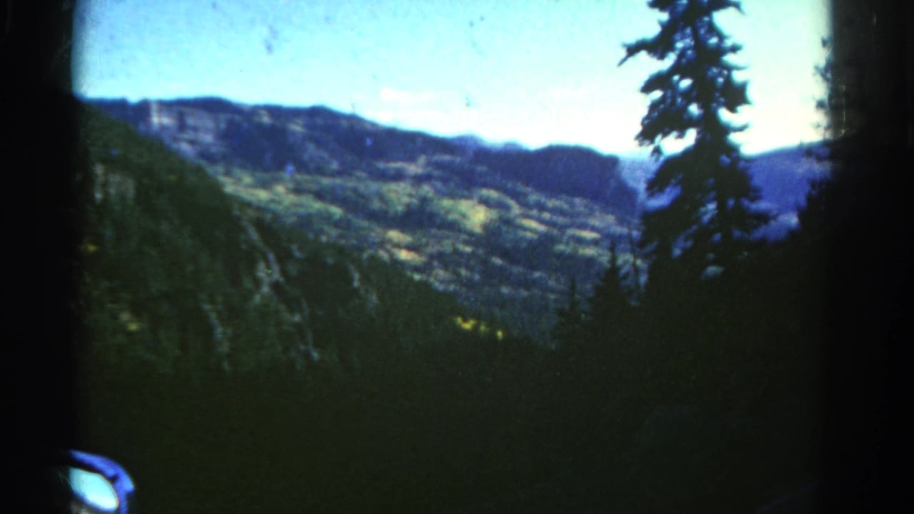Evergreen silhouettes frame distant rocky hills and a blue sky.