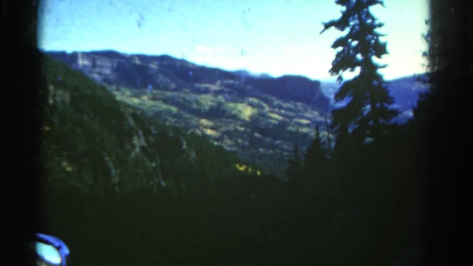 1967 Colorado 8mm frame showing dark evergreen foreground trees against rolling mountain hills and pale blue sky.