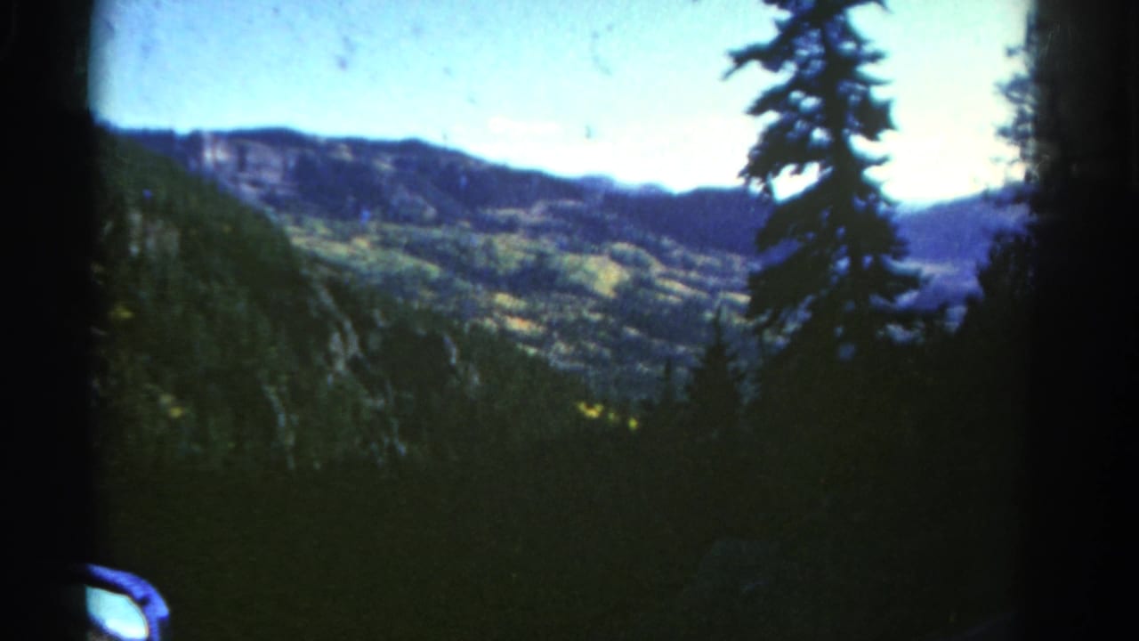 Mountain ridge and forested slopes viewed past a tall evergreen.