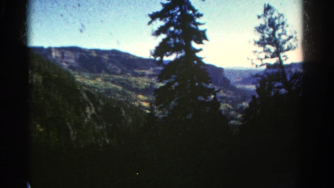 Pine trees frame a green mountain valley with distant ridgelines and blue sky.