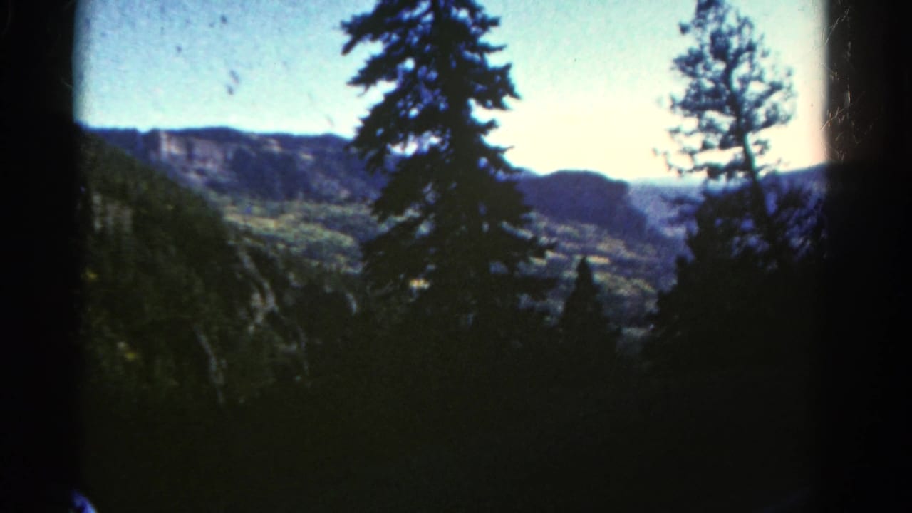 Tall pine silhouettes stand before a distant green valley and low mountain ridge.