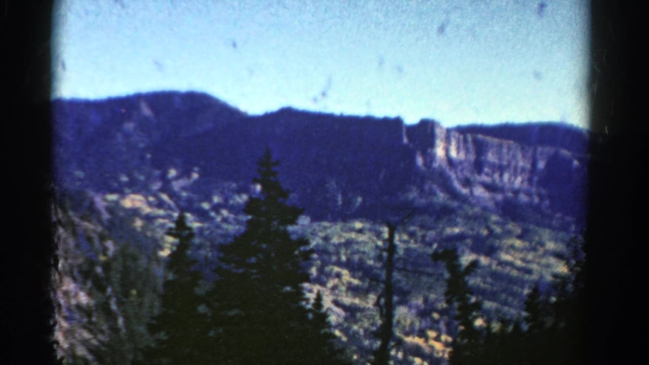 Distant cliffs and mountain ridges seen through dark evergreen trees.