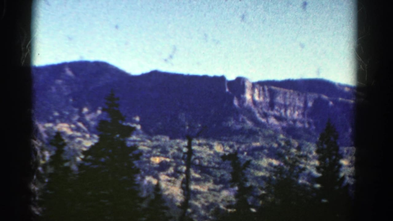 Mountain cliff face and forested slopes framed by trees in the foreground.