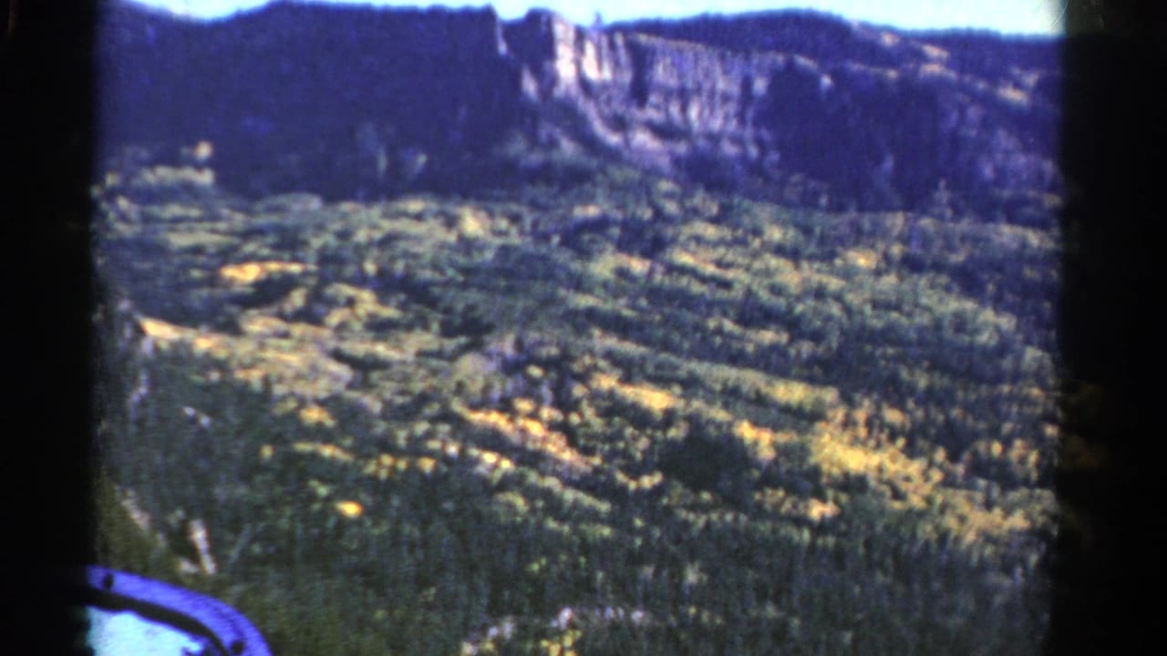 Mountain valley with yellow-green foliage and cliff wall in the distance.