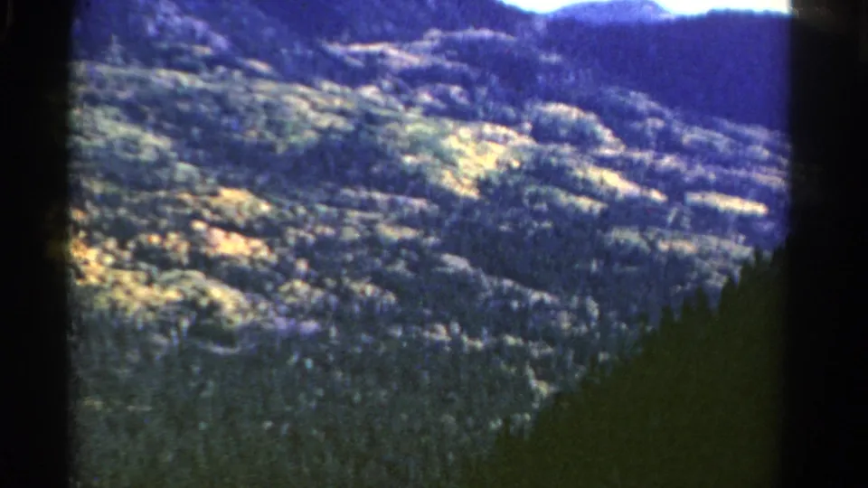 1967 Colorado aerial frame showing soft forested slopes, bright vegetation patches, and a shadowed lower edge.