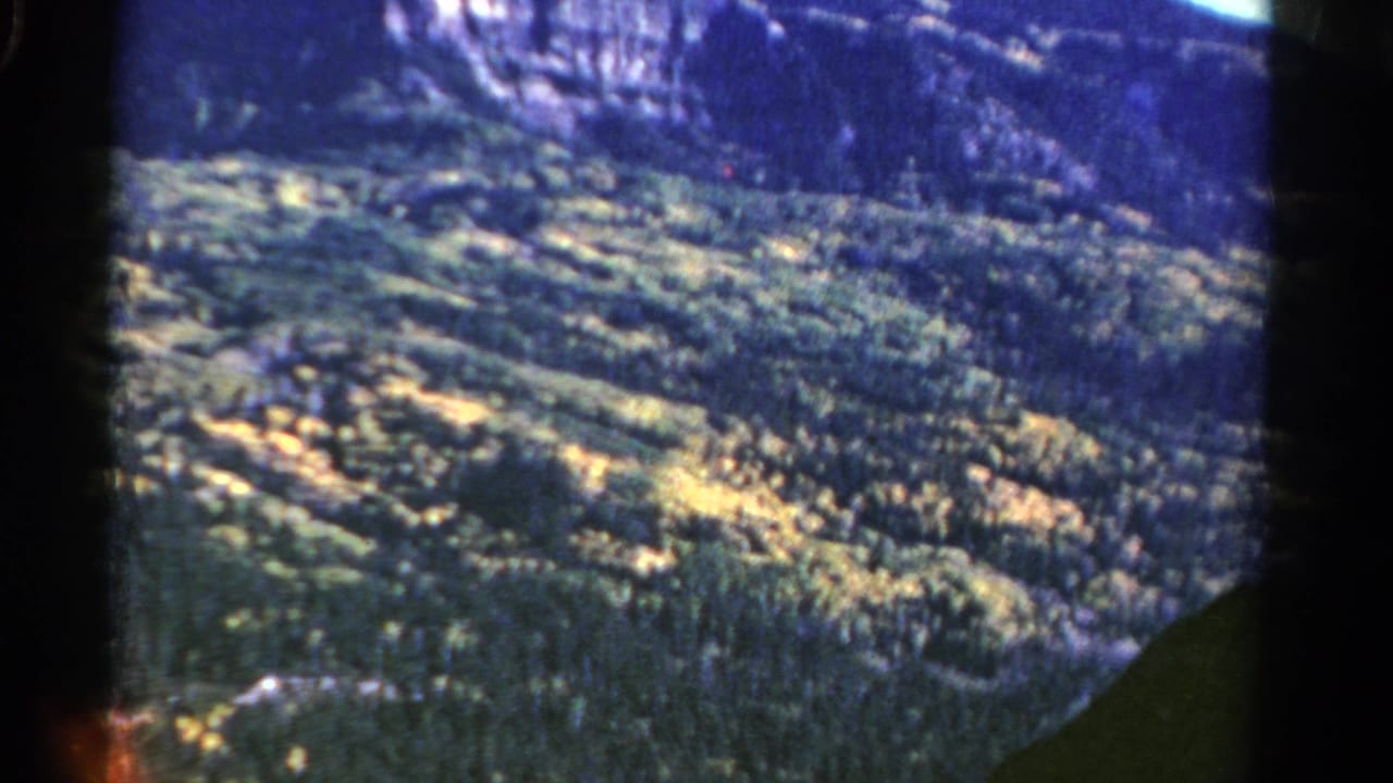A 1967 Colorado mountain view with dense evergreen forest, sunlit patches, and a rocky cliff band across the upper frame.