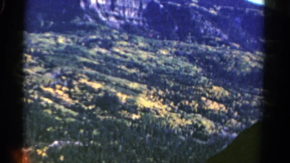A 1967 Colorado mountain view with dense evergreen forest, sunlit patches, and a rocky cliff band across the upper frame.