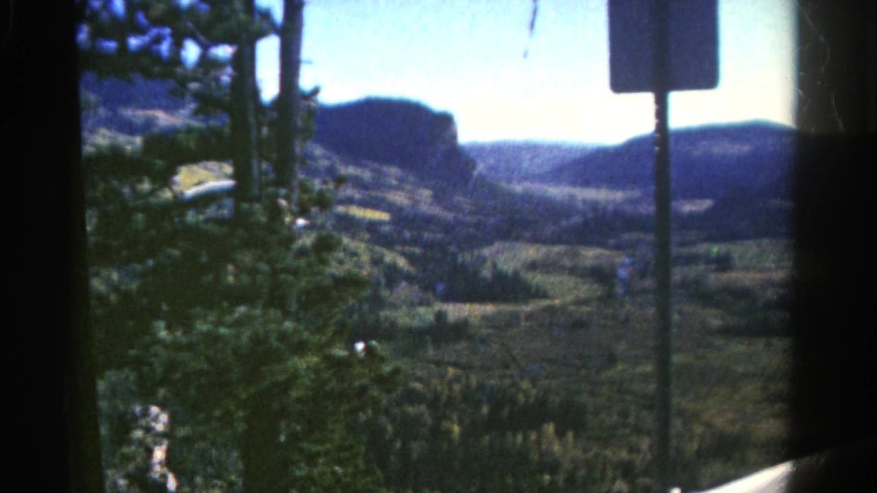 1967 Colorado 8mm frame of pine trunks and a roadside sign or pole in front of distant forested mountain ridges.