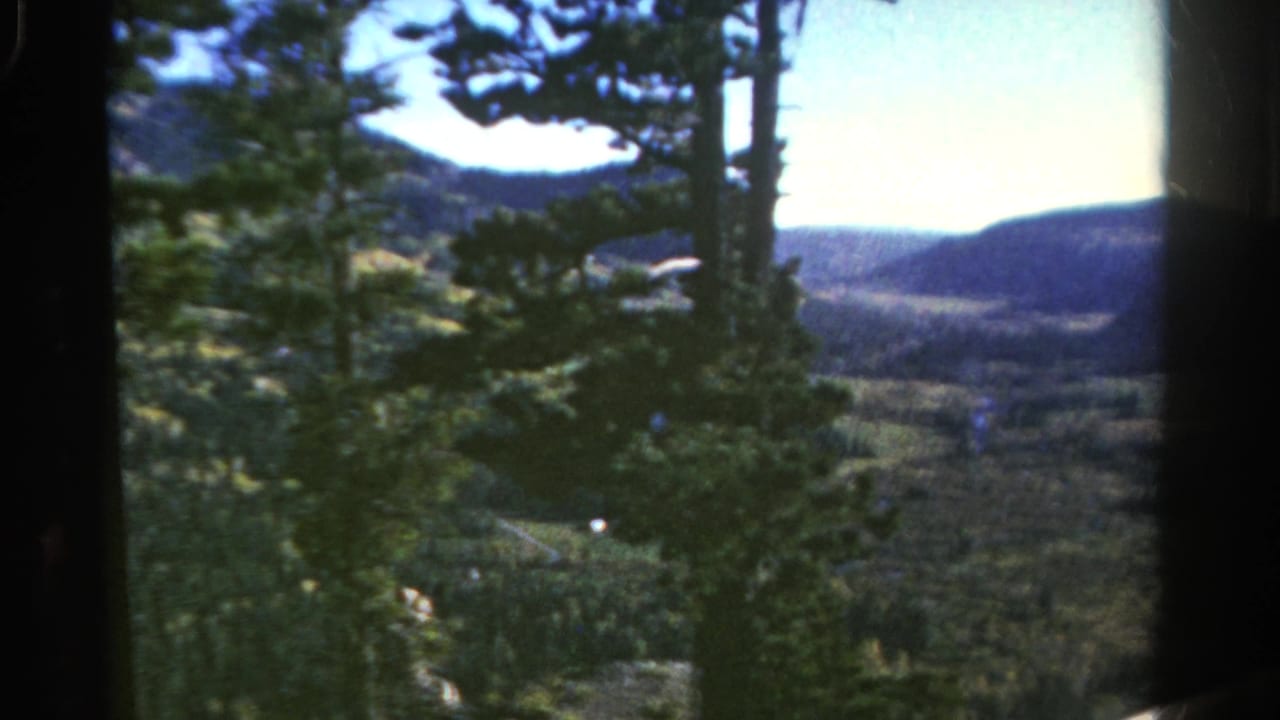 1967 Colorado home-movie view through evergreen branches toward rounded mountain ridges and forested slopes.