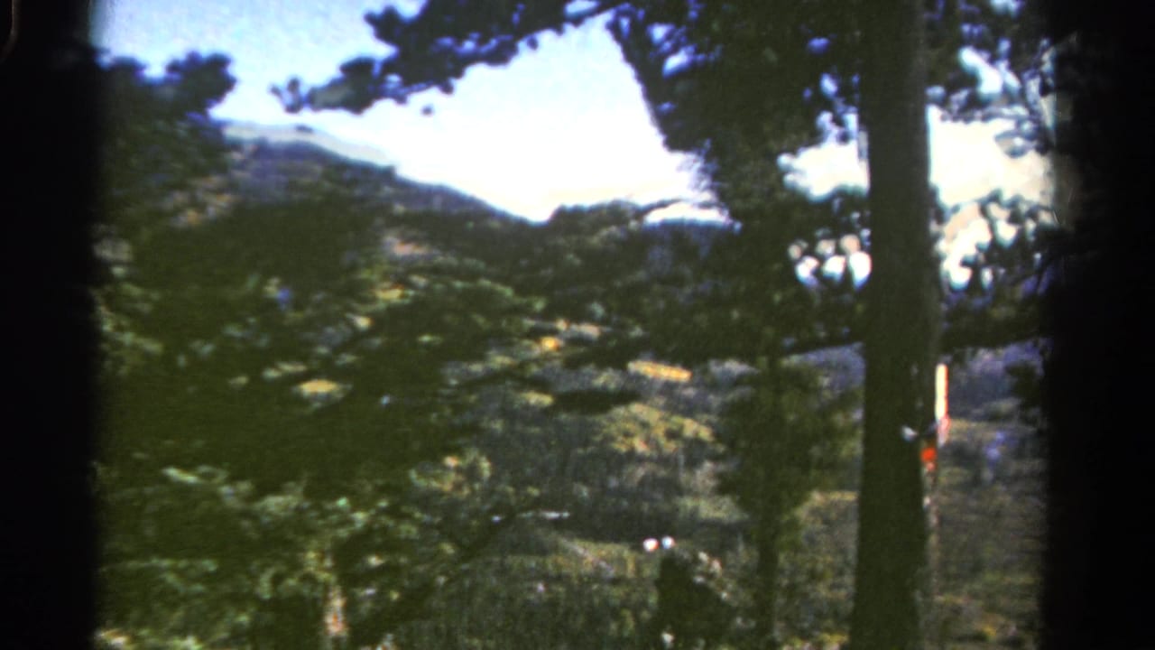 1967 Colorado 8mm frame with dark evergreen trunks in the foreground and a distant mountain slope beyond the forest.