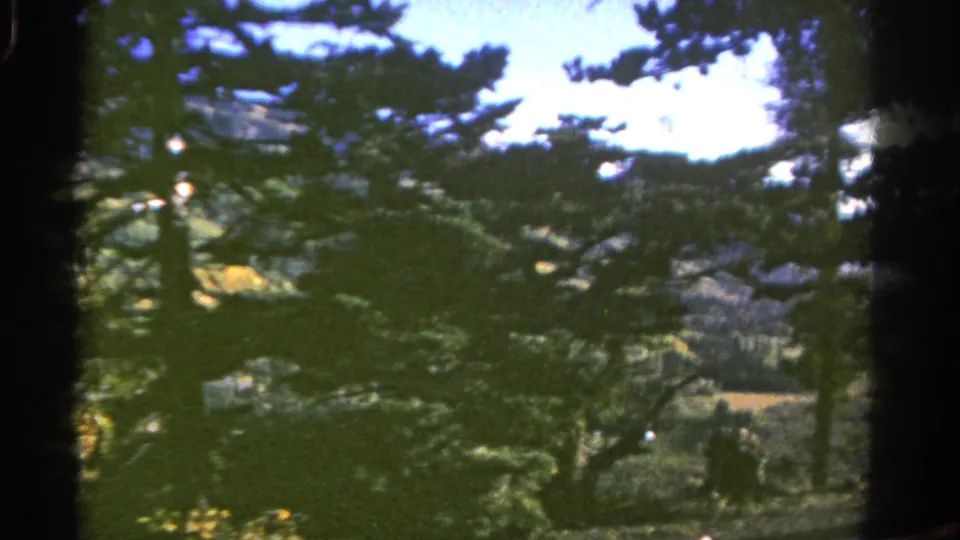 Colorado forest view on 8mm film, with evergreen branches and trunks obscuring rolling hills in the distance.