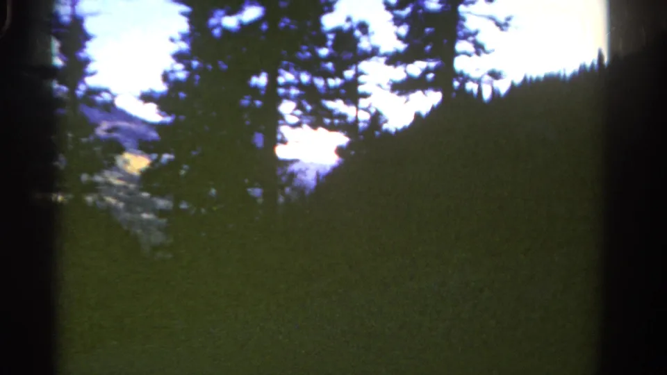 Late-frame 8mm view of Colorado evergreens silhouetted against bright sky, with a distant hillside visible through the trees.