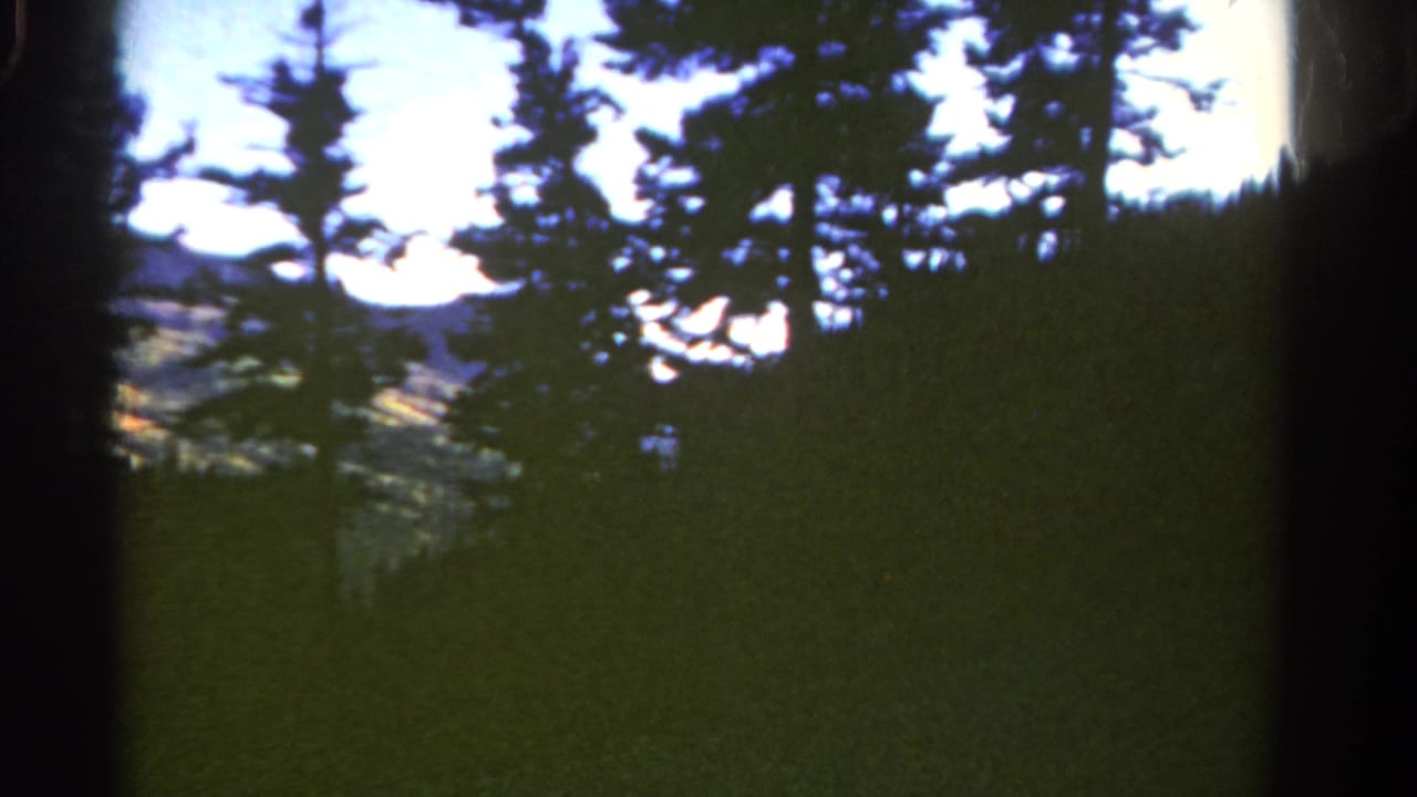 1967 Colorado 8mm frame showing evergreen silhouettes, shadowed hillside, pale sky, and distant mountain shapes.