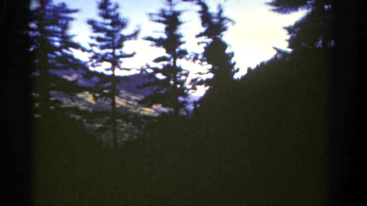 1967 Colorado home-movie frame with conifers in silhouette, a dark hillside, and a distant mountain seen through the trees.