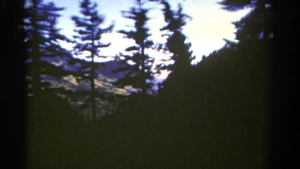 1967 Colorado home-movie frame with conifers in silhouette, a dark hillside, and a distant mountain seen through the trees.
