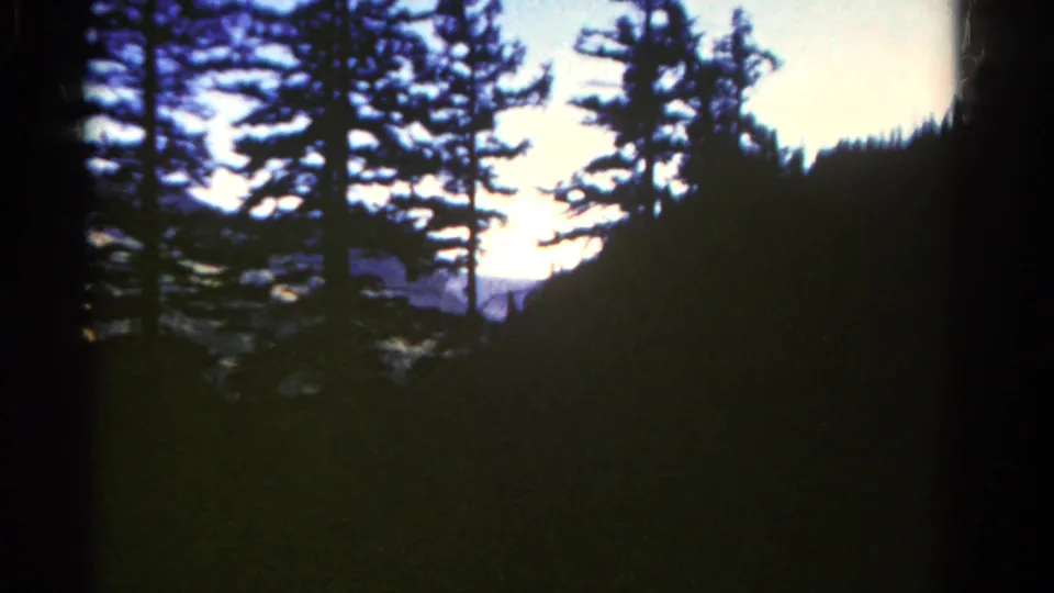 1967 Colorado 8mm view of tall evergreen silhouettes, bright sky, and a partially visible mountain slope in the distance.