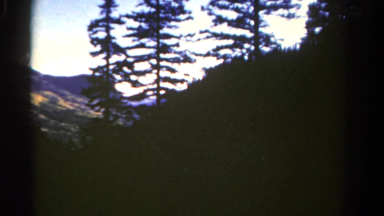 Tall pine silhouettes frame distant hills under a bright sky.