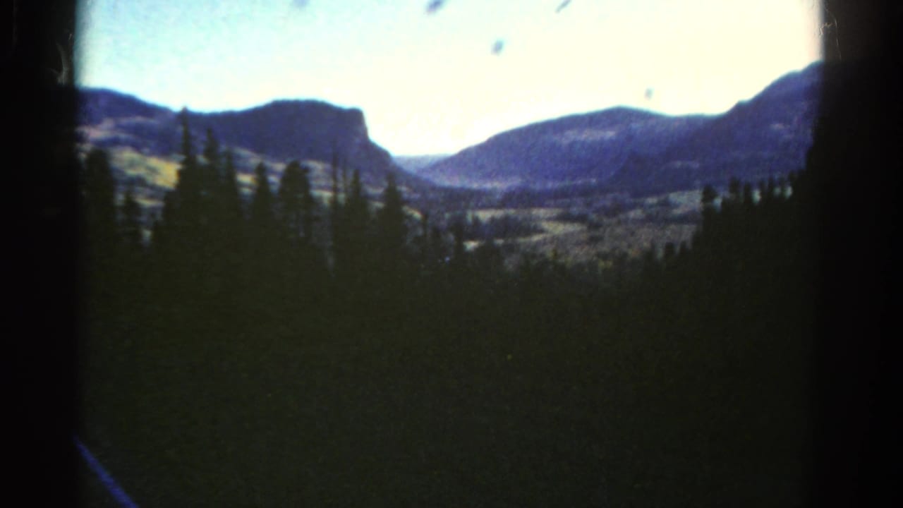 Dark pine trees frame distant mountains and a bright valley sky.