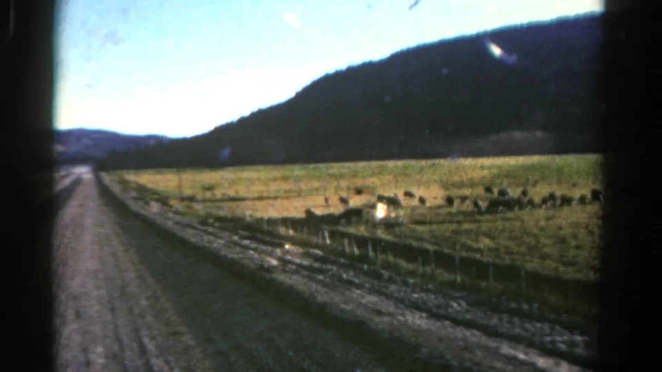 1967 Colorado frame showing a roadside fence, grazing sheep, open field, and mountain slope with visible 8mm film grain.