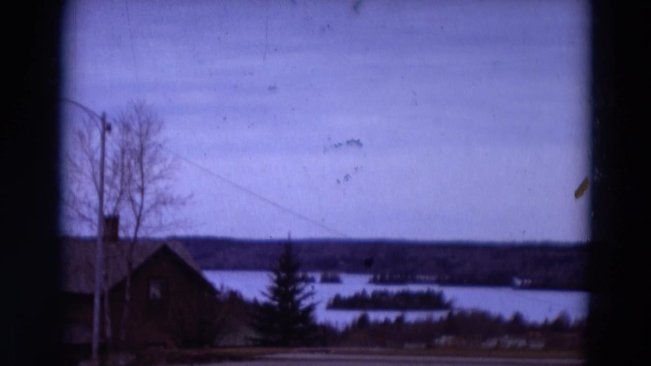 Lakeside house with bare trees, evergreen, power line, distant water, and islands under an overcast sky.