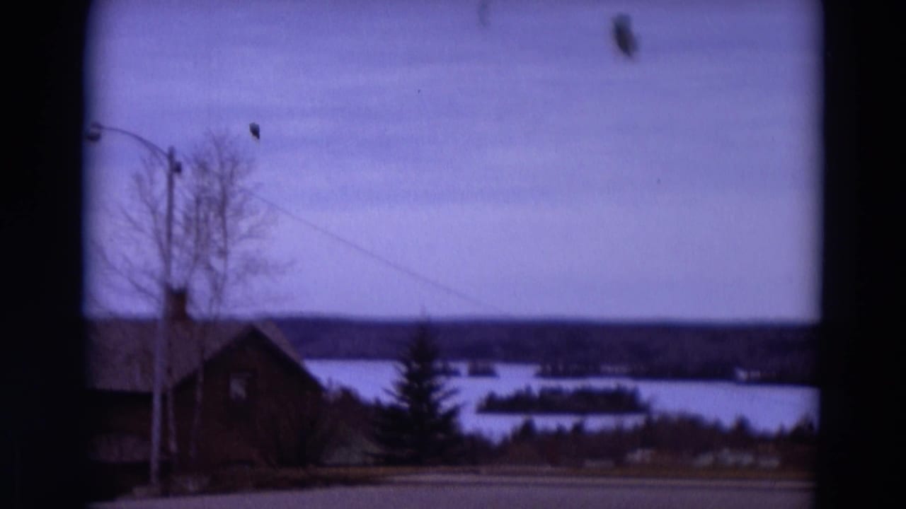 House and leafless trees beside a lake, with a power line crossing the sky and islands beyond the water.
