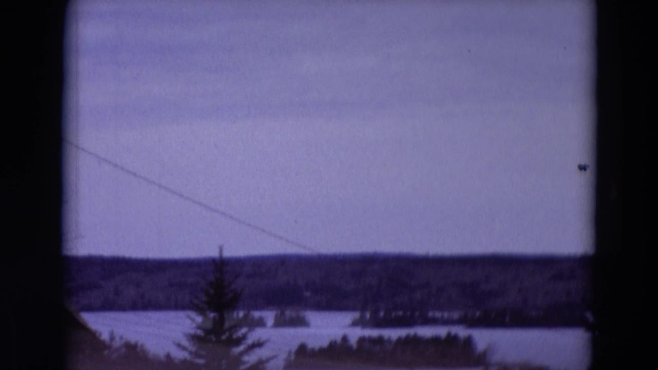 Distant snowy water view with treeline, evergreen tree, and dark framing at the edges.