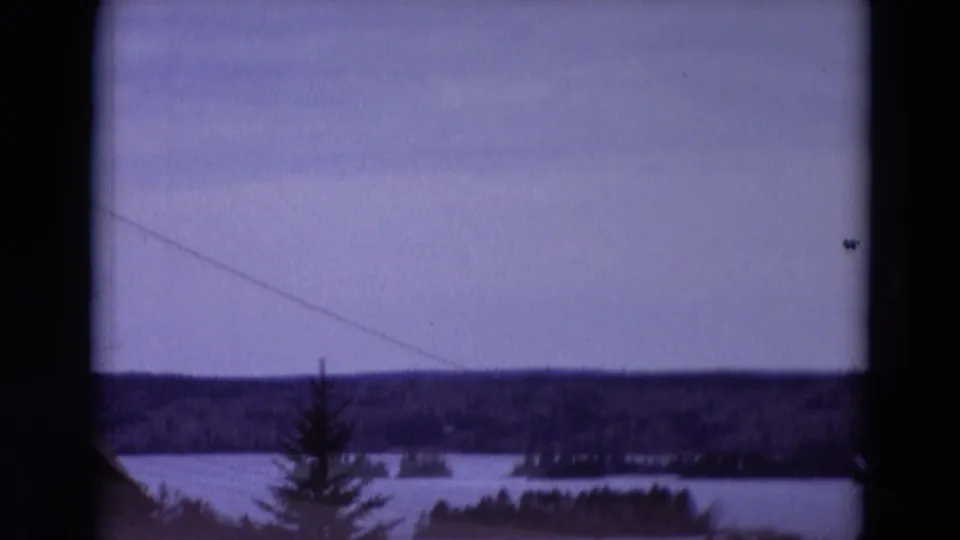Metadata-supported 1967 Detroit-area winter view with snowy water, a dark treeline, an evergreen, and heavy 8mm edge framing.