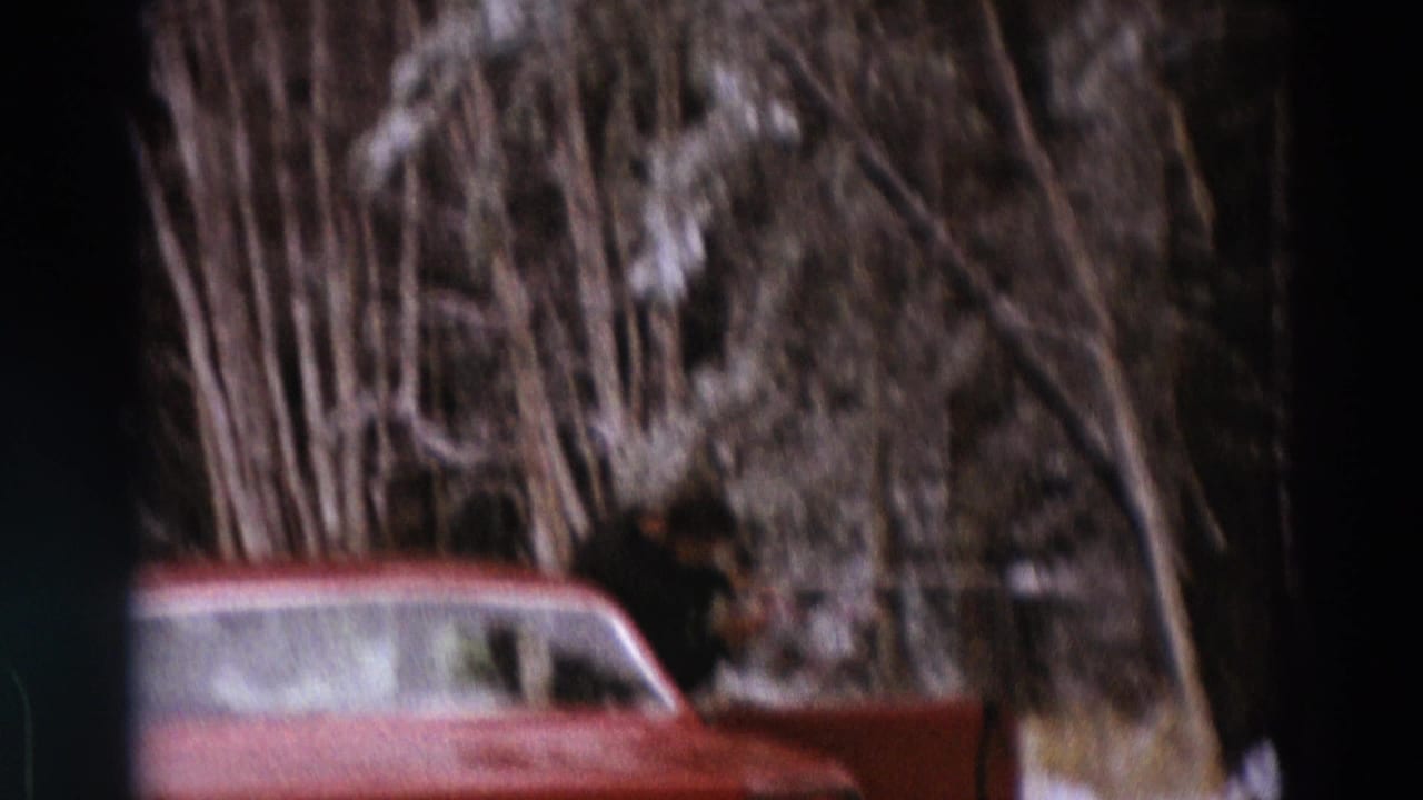 Red sedan partly visible beside snowy trees on a winter road.