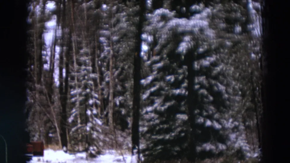 Snow-laden pines and roadside woods fill the frame, with 8mm gate edges visible in the scan.