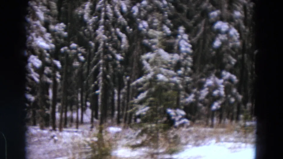Snowy evergreens and a light road edge or clearing appear in the final frame of the 1967 Michigan home movie.