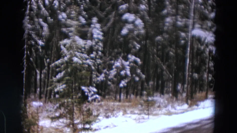 1967 8mm view of a snowy wooded roadside in Michigan, seen from a moving vehicle with dark film borders.