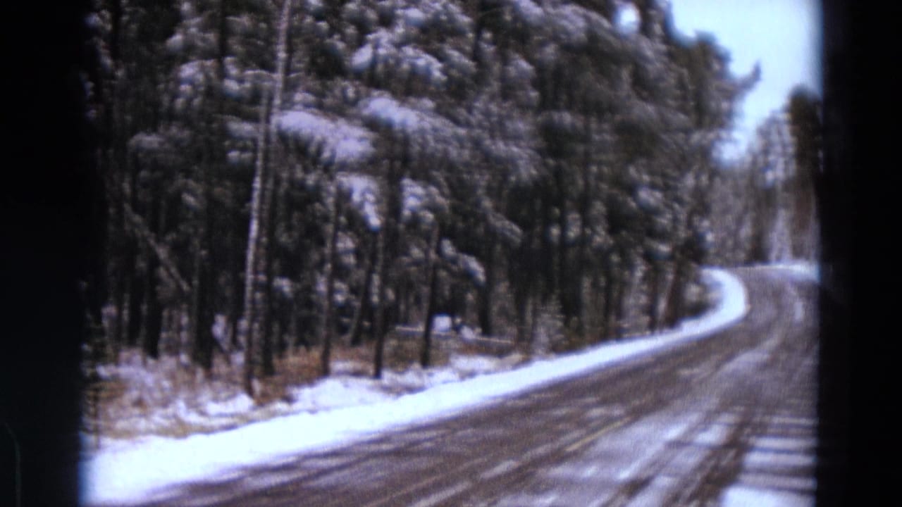 Curving snowy road through dense trees with tire tracks.