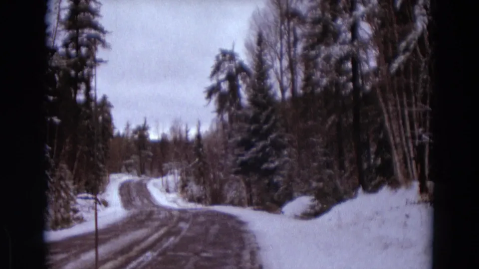 A snowy rural road curves through Michigan woodland, with evergreen and bare trees under an overcast sky.