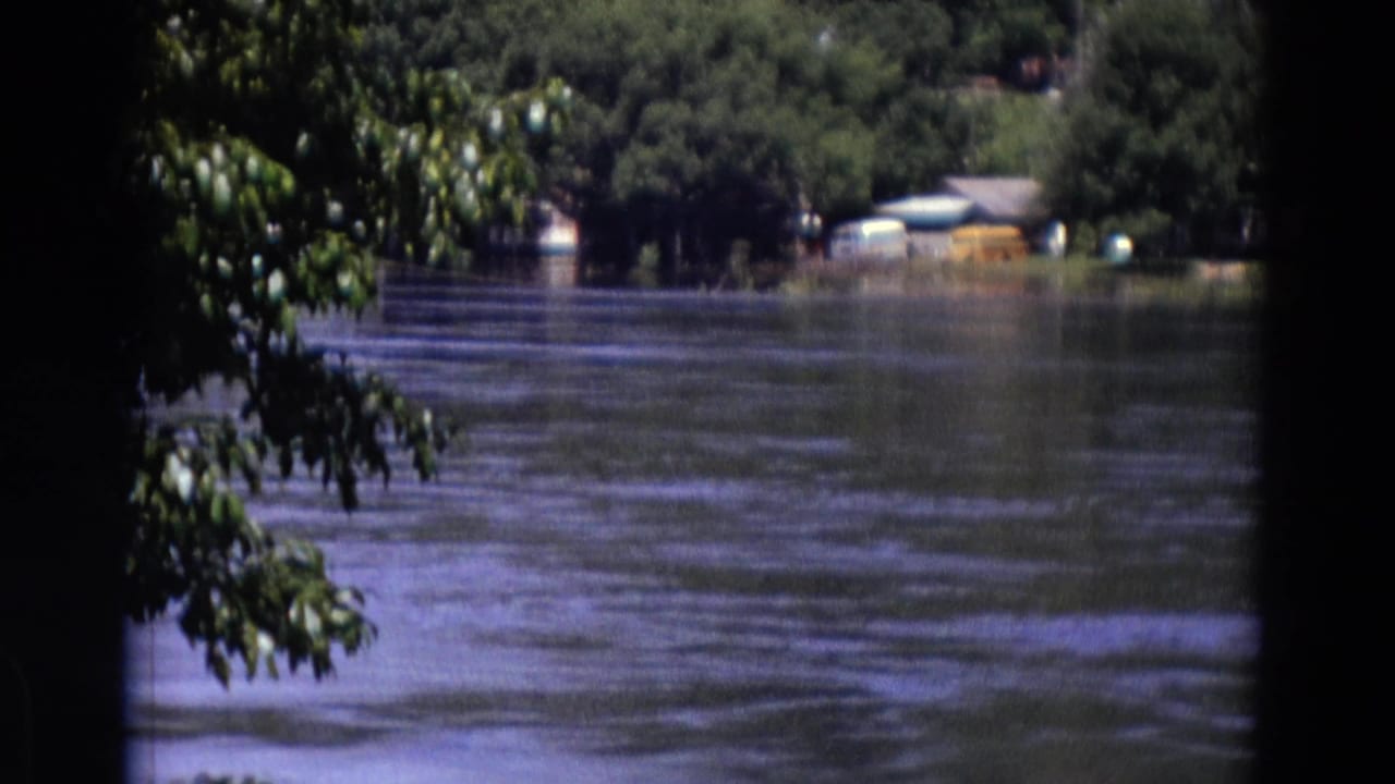Rippling lake water seen through dark tree branches with a wooded shoreline in the distance.