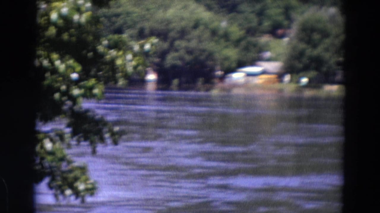 Lake surface with leafy branches at left and a distant shoreline with small boats or structures.
