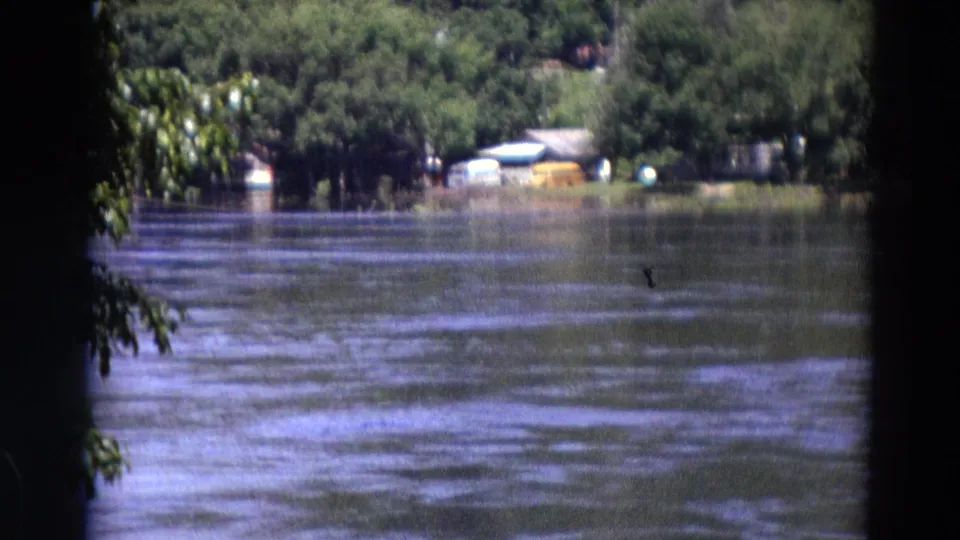 Detroit-area 1967 8mm frame of rippling lake water, foreground leaves, and a wooded far shore with small boats or structures visible.