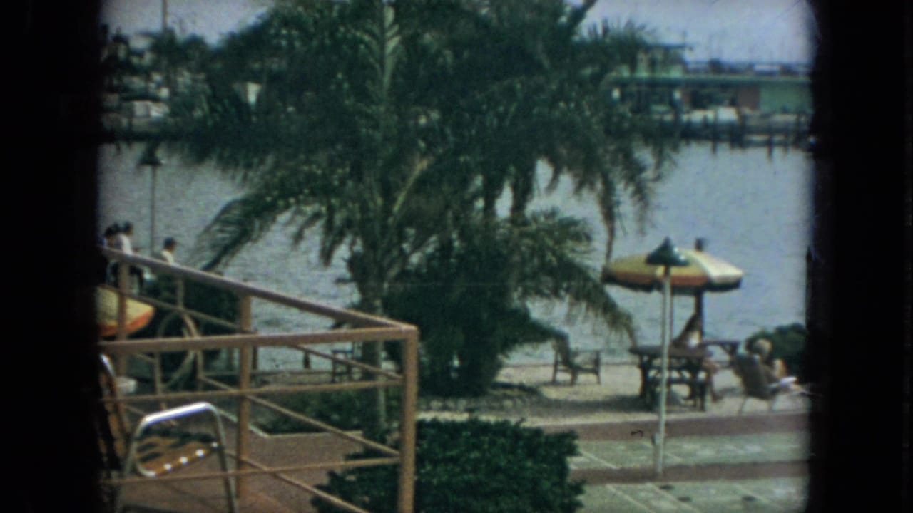 Palm tree and wooden railing frame people relaxing by the water with marina docks behind them.