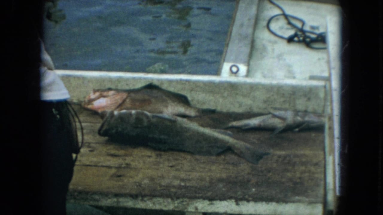Freshly caught fish lying on a wooden dock beside water with a partial person at left.