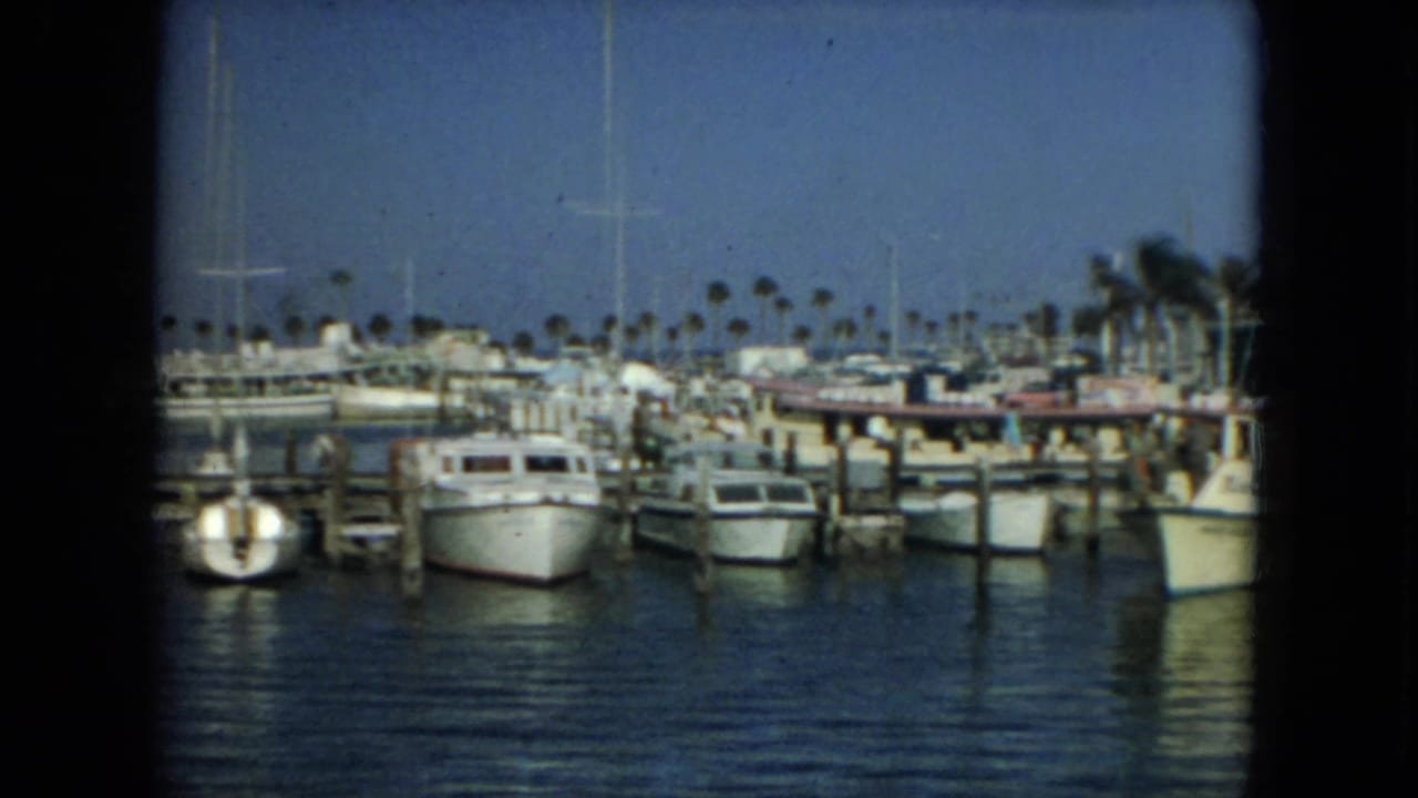 Marina filled with docked boats, sailboat masts, piers, and palm trees.