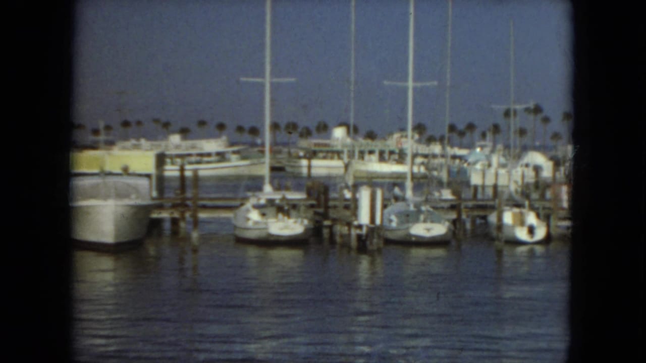 Wide marina view with sailboats, piers, calm water, and a palm-lined shoreline.