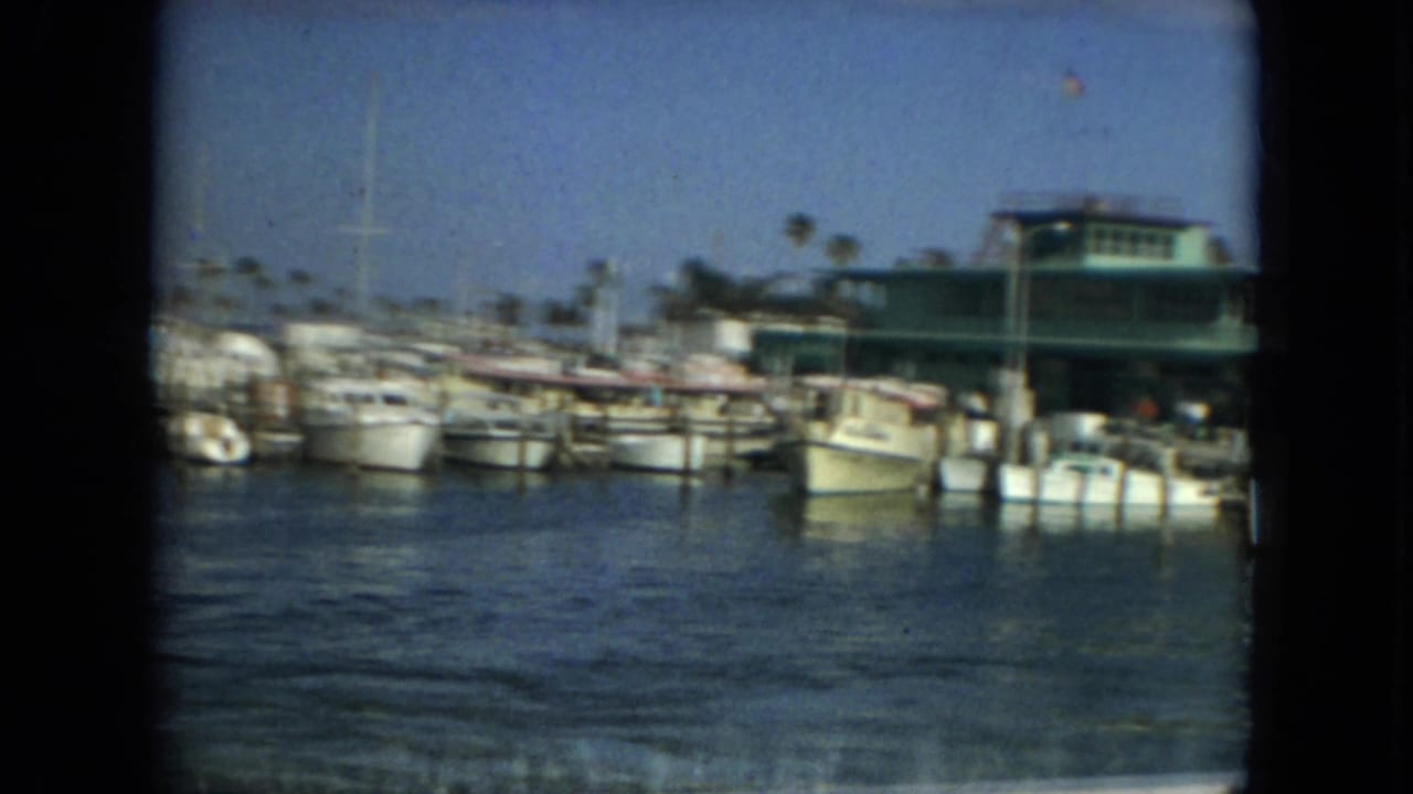 1967 Florida marina view with small boats docked along wooden piers, calm water, palm trees, and a green waterfront building.