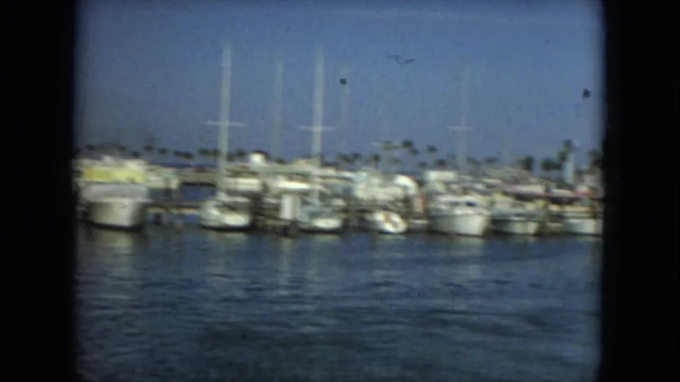 1967 Florida marina scene showing white boats, tall masts, palm trees, shoreline buildings, and rippled water in the foreground.
