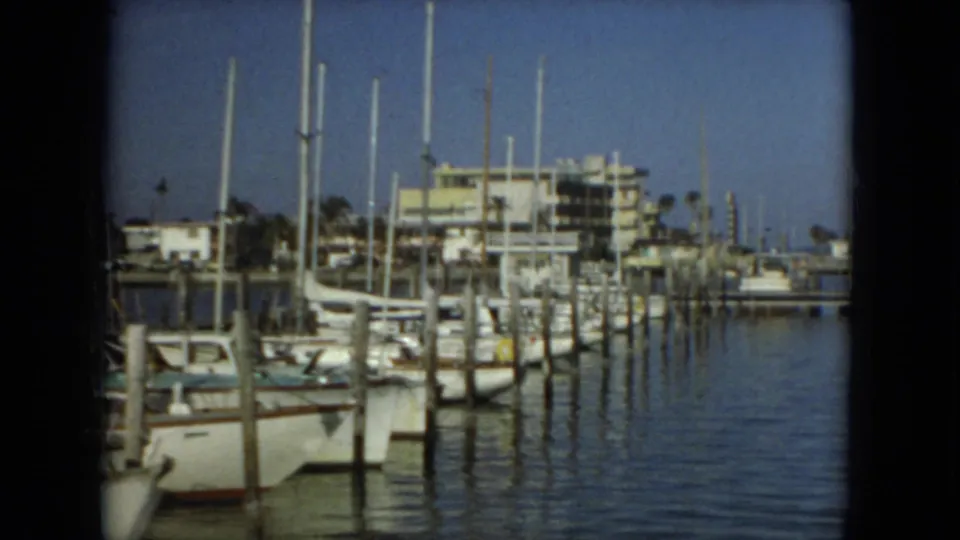 1967 Florida marina frame with boats in wooden slips, vertical masts, waterfront buildings, palm trees, and calm harbor water.