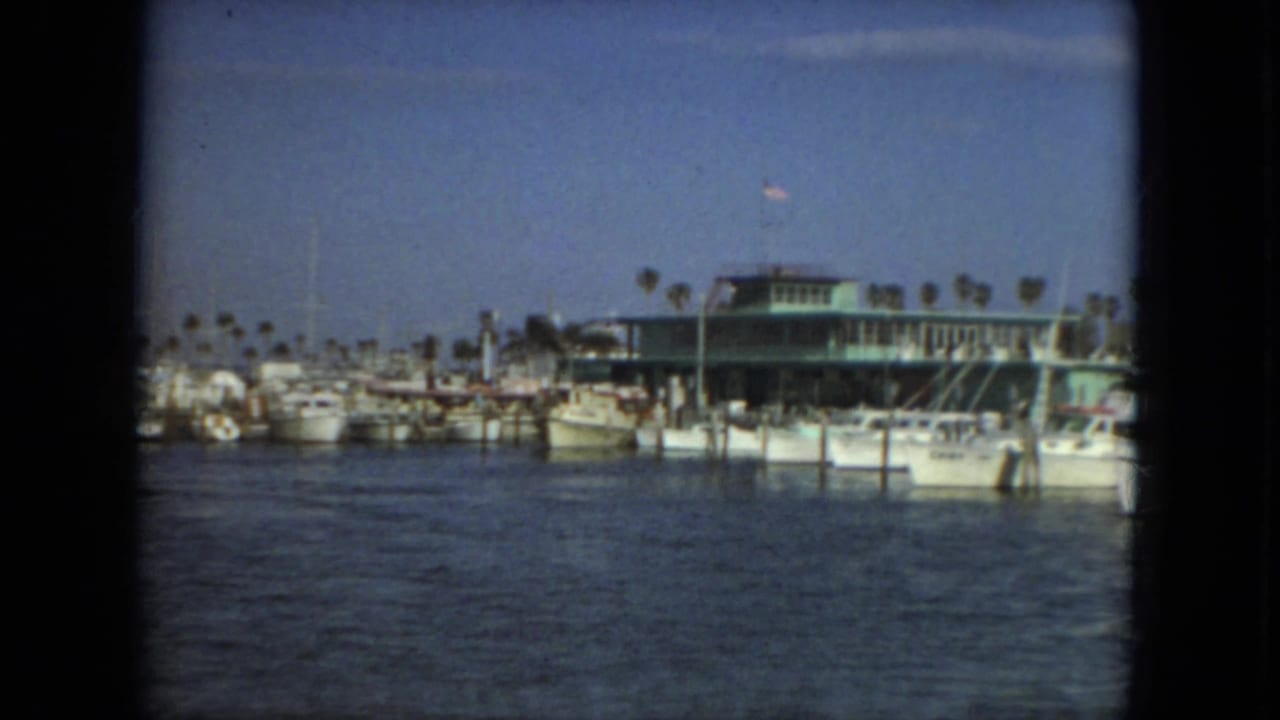 Harbor view with yachts, dock pilings, palm trees, a green-roofed building, and an American flag.