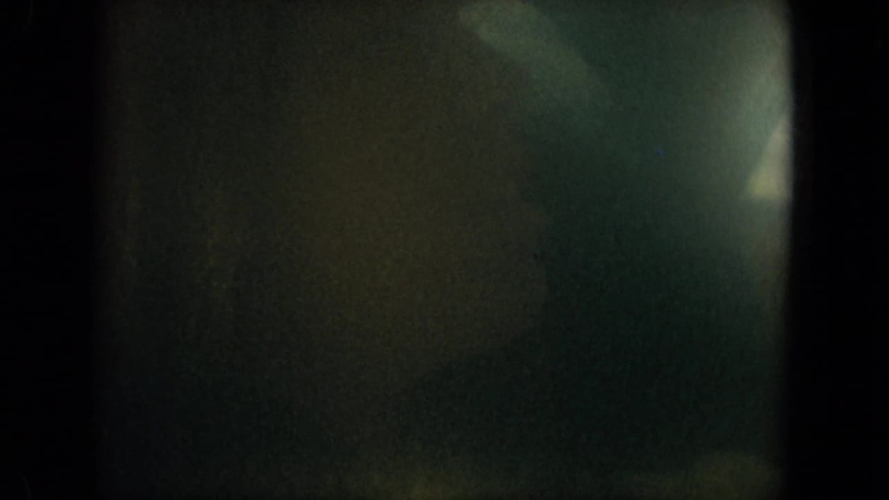 Dim 1967 Florida 8mm frame showing rounded dark borders, grain, and indistinct greenish forms without a clear subject.